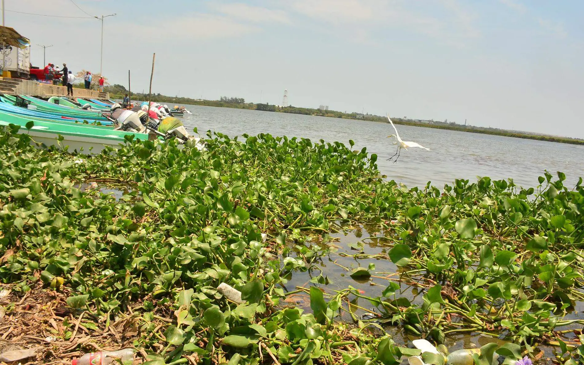 Alertan por la crisis en sistemas lagunarios del sur de Tamaulipas